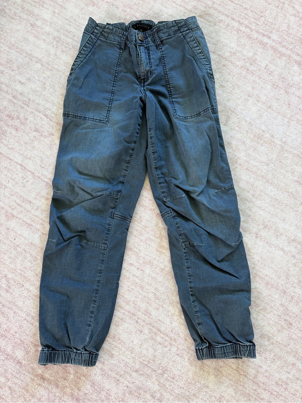 Sanctuary Utility Jogger Pants Size 27 Blue Gray Ankle Zip Cargo